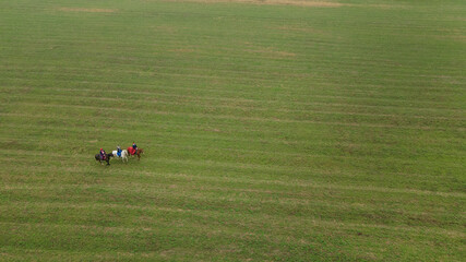 Aerial view of group of fox hunters on the horses in the autumn field. Equestrian riding sport in a...