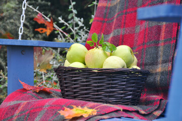 Fall harvest decor on outdoor porch swing in country garden setting for thanksgiving, harvest festival or halloween theme