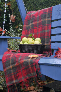 Fall Harvest Decor On Outdoor Porch Swing In Country Garden Setting For Thanksgiving, Harvest Festival Or Halloween Theme