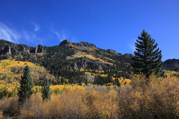 Colorado fall landscape with rocks, trees, and rocks. 