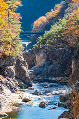 【栃木県】紅葉時期の龍王峡