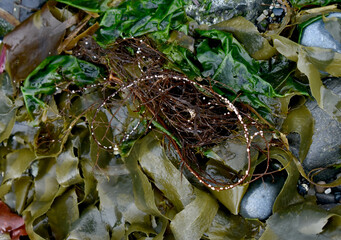 Autumn ocean scene close-up background in nature