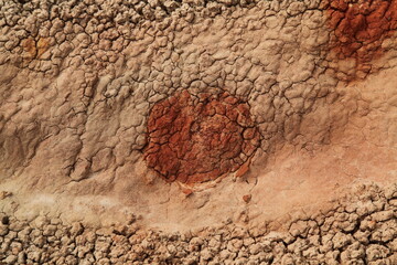 Close-up of soil along Coal Vein Nature Trail in Theodore Roosevelt National Park, North Dakota