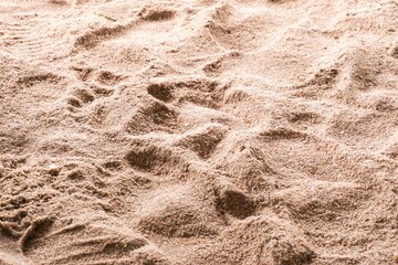 foot print on dry snad