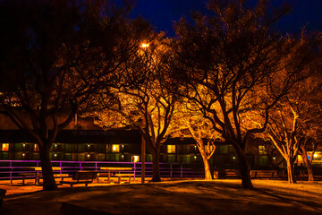 park at night