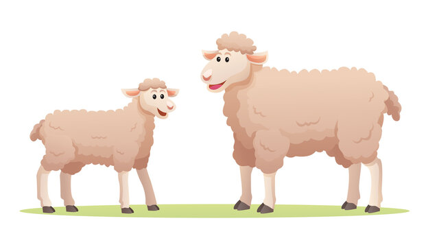 Sheep with cute cub cartoon illustration