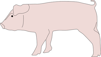可愛い豚のイラスト素材