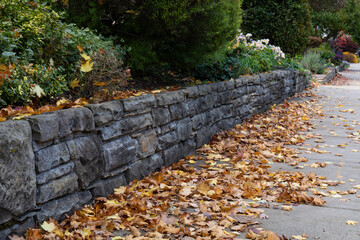 Well maintained rusticated stone retaining wall beside a sidewalk, yellow and brown autumn leaf...