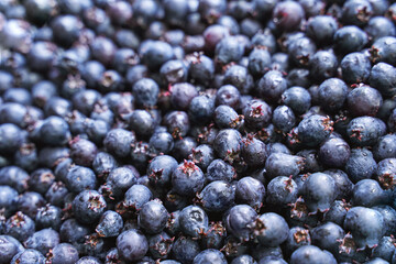 Garden purple berry. Shadberry. Nature breakfast vegan ingredient. Fresh summer food. Round sweet texture