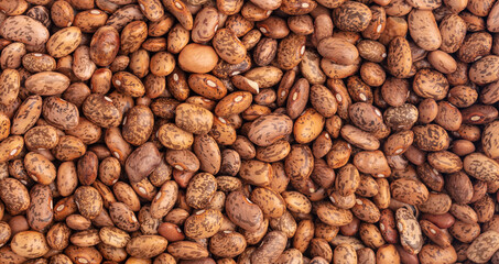 Panorama from Pinto Beans