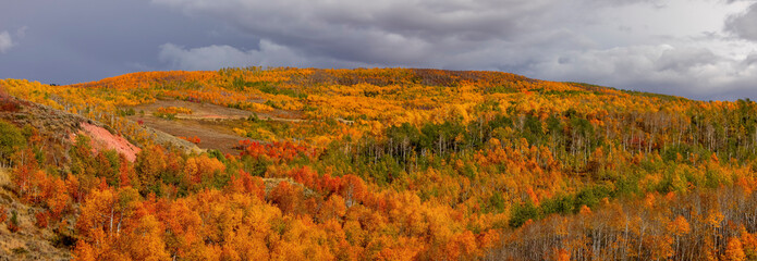 Panoramic view of brilliant colorful fall foliage at Monte Cristo mountain overlook by Monte Cristo...