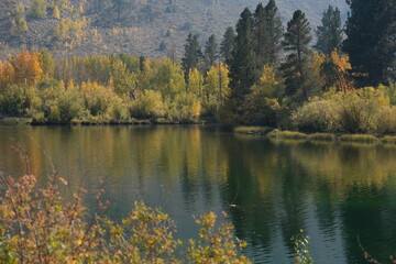 lake in autumn