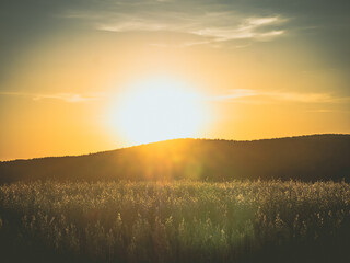 The sun sets behind the mountain in the field.