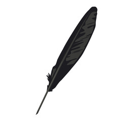 Vector illustration of a raven`s feather isolated on a white background.