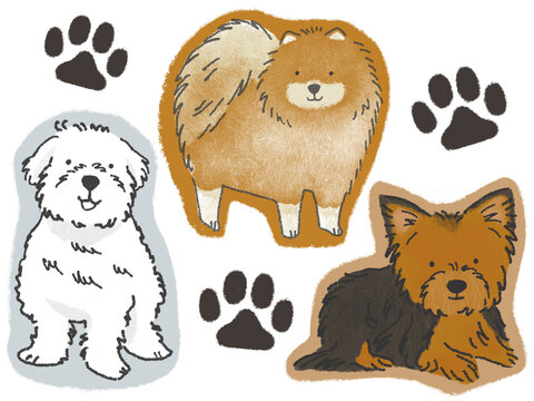 犬（小型犬）のイラスト