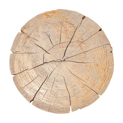 Tree stump or tree trunk  isolated on white background , clipping path included for design.