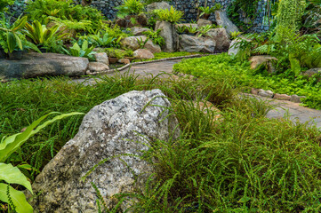 Tropical botanical garden decorated with different shapes of stones with stone pathway. Beautiful botanic park.