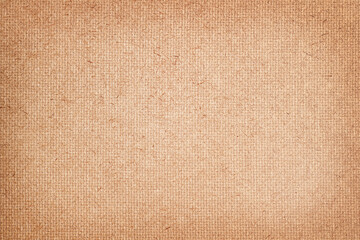 Fototapeta premium Pressed beige chipboard texture. Wooden background