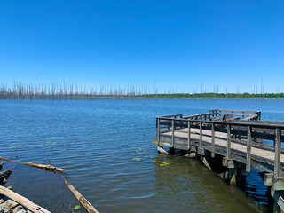 Fototapeta na wymiar view of Cane Creek Lake in Arkansas