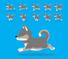 Fototapeta na wymiar Animal Animation Sequence Dog Siberian Husky Cartoon Vector Grey Coat