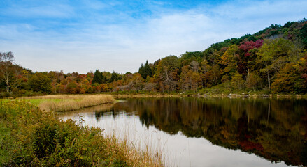 Pond surrounded by forested hill and grassy marsh, as leaves take on Autumn colors.  Reflection of...