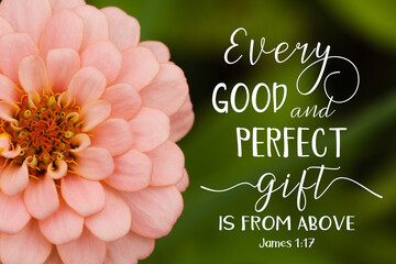 Peach salmon zinnia flower with Bible verse, every good and perfect gift is from above, James 1 17