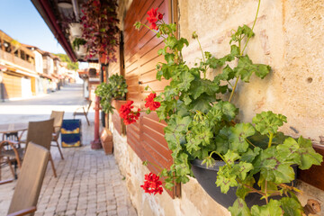 Fototapeta na wymiar Cobbled street of old city with empty tables in street cafe, flowers in early morning, Side, Turkey