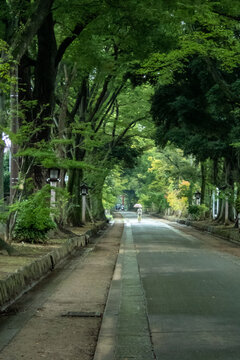 The Approach To Hikawa Shrine