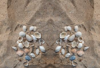 Fototapeta na wymiar Seashell in sand on the beach and copy space. Sand pattern of a beach in the summer.
