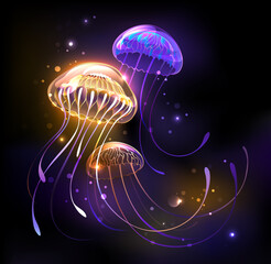 Three glowing jellyfish © Nelli Valova