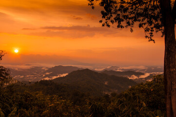 Fototapeta premium Tropical rainforest landscape in Kaengkrachan Forest Complex,one of nature world heritage site of Thailand
