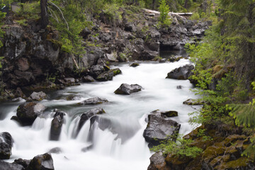 waterfall in the forest