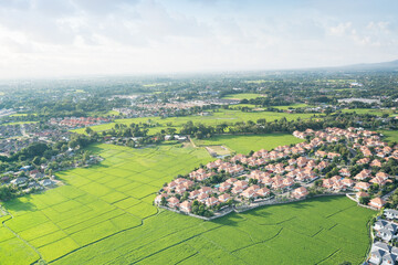 Land or landscape of green field in aerial view. Include agriculture farm, house building, village....
