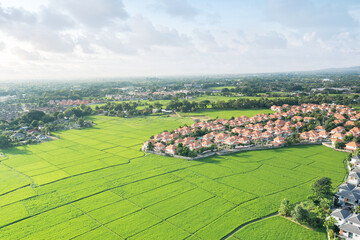 Obraz premium Land or landscape of green field in aerial view. Include agriculture farm, house building, village. That real estate or property. Plot of land to housing construction, owned, sale, rent, buy, purchase