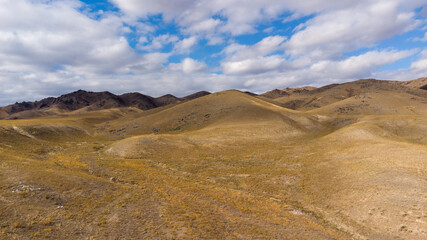 Bird view panorama of the steppes