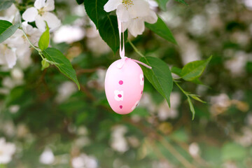 Easter pink eggs on flowering trees. Traditions, holidays, religion concept.
