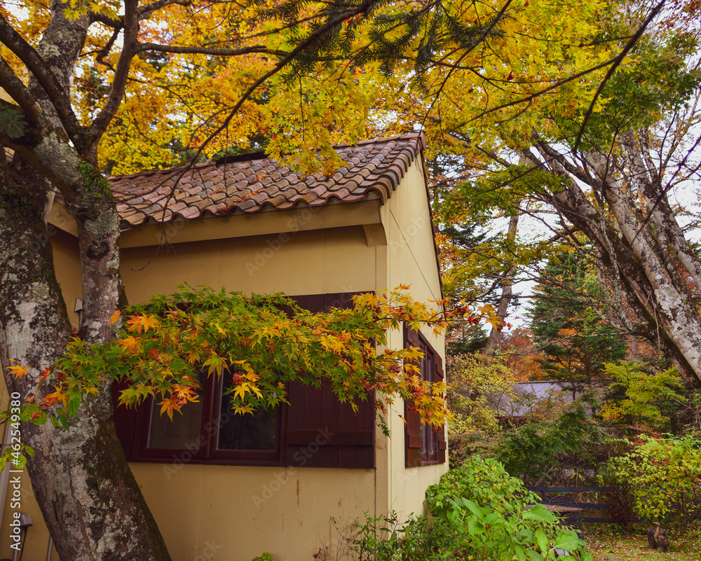 Wall mural Beautiful countryside scene in autumn