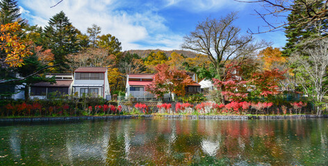 Beautiful lake view in autumn