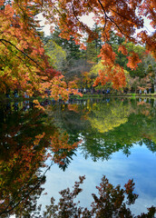 Beautiful lake view in autumn