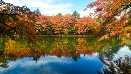 Fototapeta na wymiar Beautiful lake view in autumn