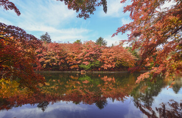 Fototapeta na wymiar Beautiful lake view in autumn