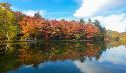 Beautiful lake view in autumn