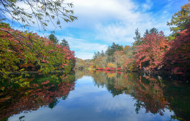 Beautiful lake view in autumn