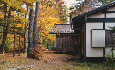 Beautiful countryside scene in autumn