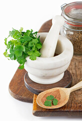 Coriander fresh greens cilantroisolated on the white.