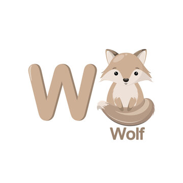 Cute wolf in cartoon style. Children's alphabet with an image of an animal.
