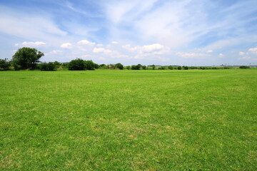 初夏の江戸川河川敷の草原と青空