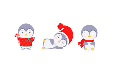 A set of cute Christmas penguins in cartoon style.