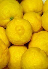 沢山の柚子の実、ゆずの実のクローズアップ