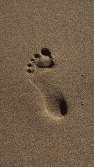 Fototapeta na wymiar Footprint in the sand